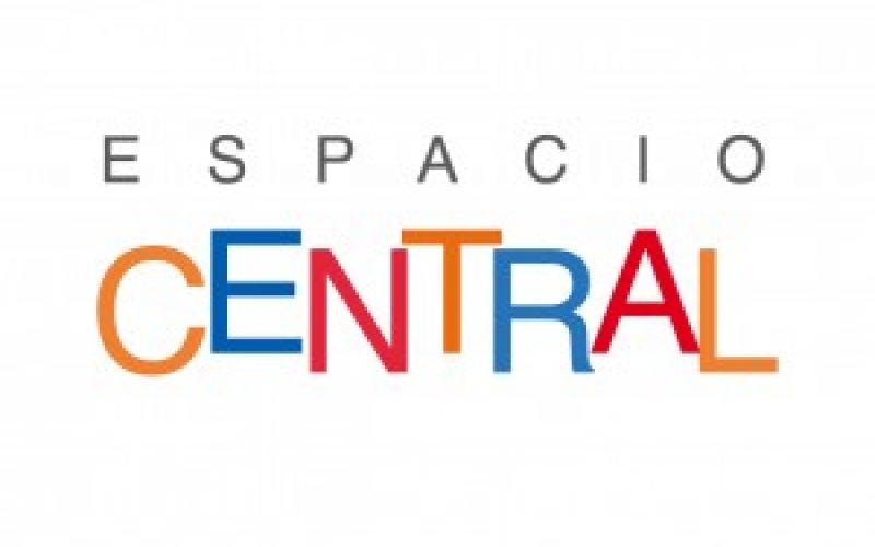 ESPACIO CENTRAL EURO CONSTRUCTORA SPA 